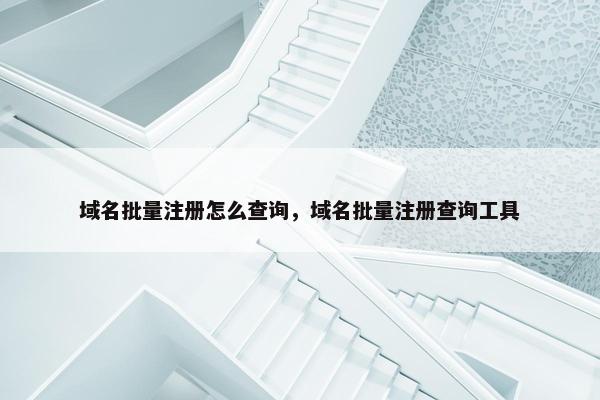 域名批量注册怎么查询，域名批量注册查询工具
