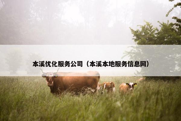 本溪优化服务公司（本溪本地服务信息网）