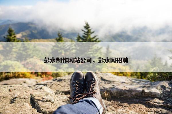 彭水制作网站公司，彭水网招聘