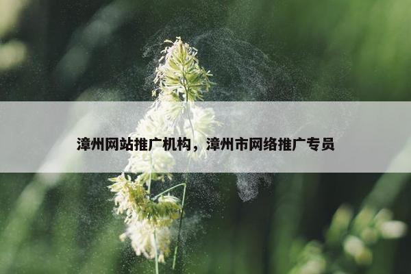 漳州网站推广机构，漳州市网络推广专员
