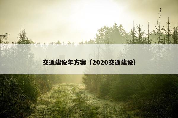 交通建设年方案（2020交通建设）