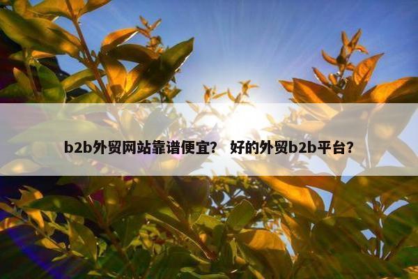 b2b外贸网站靠谱便宜？ 好的外贸b2b平台？