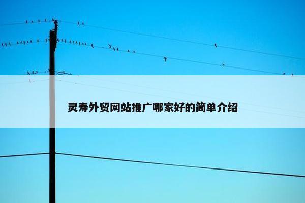 灵寿外贸网站推广哪家好的简单介绍