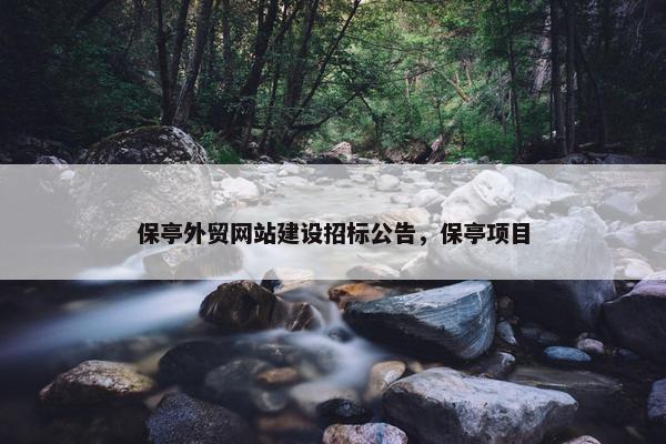 保亭外贸网站建设招标公告，保亭项目