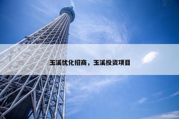 玉溪优化招商，玉溪投资项目