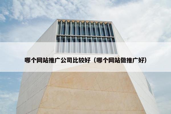 哪个网站推广公司比较好（哪个网站做推广好）