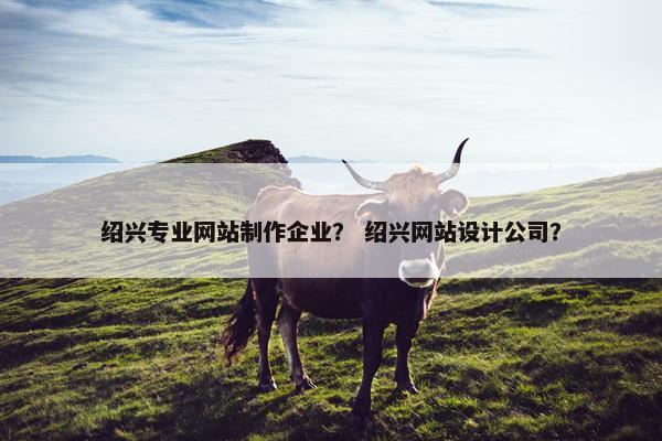 绍兴专业网站制作企业？ 绍兴网站设计公司？