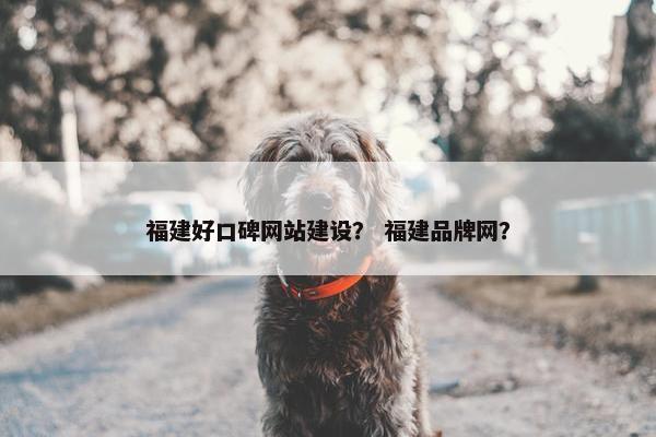 福建好口碑网站建设？ 福建品牌网？