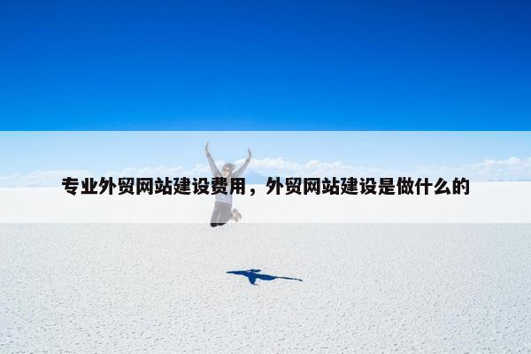 专业外贸网站建设费用，外贸网站建设是做什么的