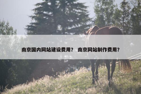 南京国内网站建设费用？ 南京网站制作费用？