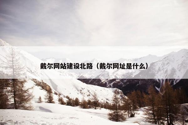 戴尔网站建设北路（戴尔网址是什么）