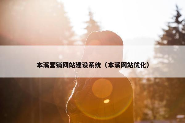 本溪营销网站建设系统（本溪网站优化）