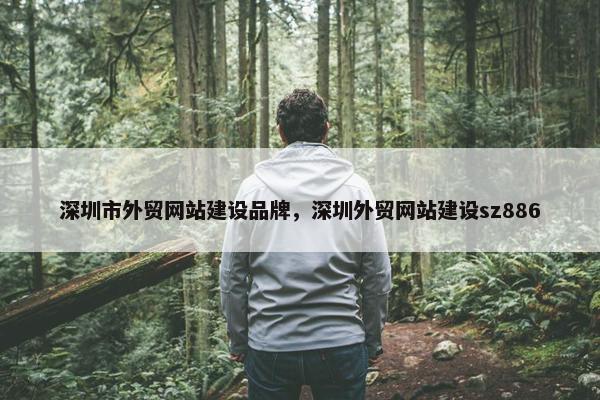 深圳市外贸网站建设品牌，深圳外贸网站建设sz886