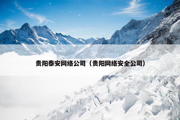 贵阳泰安网络公司（贵阳网络安全公司）