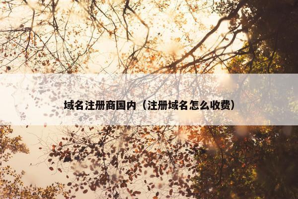 域名注册商国内（注册域名怎么收费）