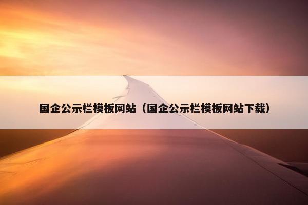 国企公示栏模板网站（国企公示栏模板网站下载）