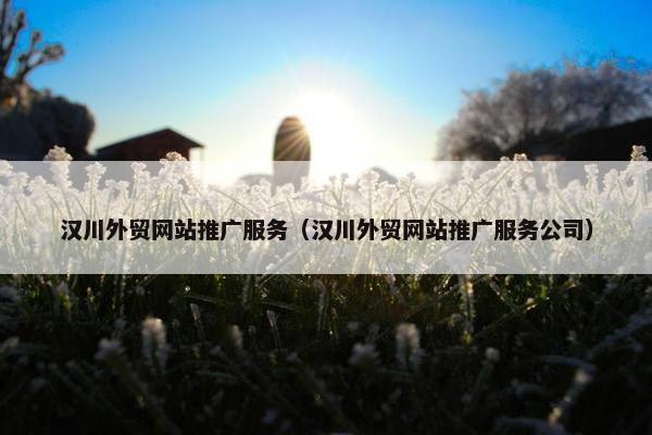 汉川外贸网站推广服务（汉川外贸网站推广服务公司）