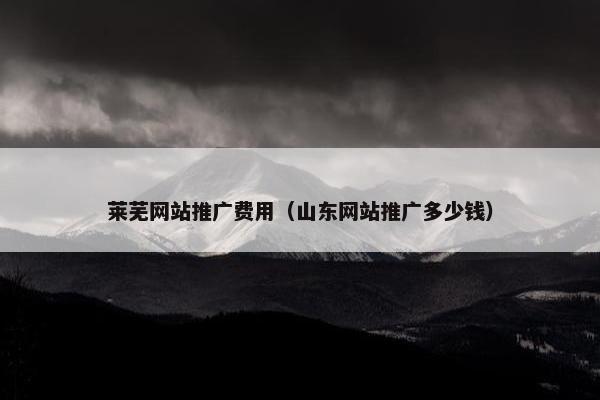莱芜网站推广费用（山东网站推广多少钱）