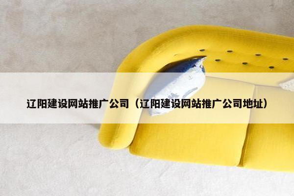 辽阳建设网站推广公司（辽阳建设网站推广公司地址）