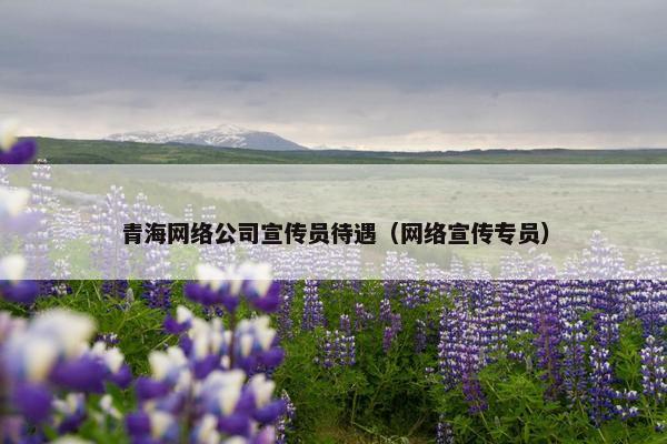 青海网络公司宣传员待遇（网络宣传专员）