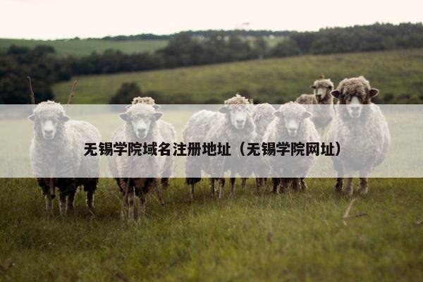 无锡学院域名注册地址（无锡学院网址）