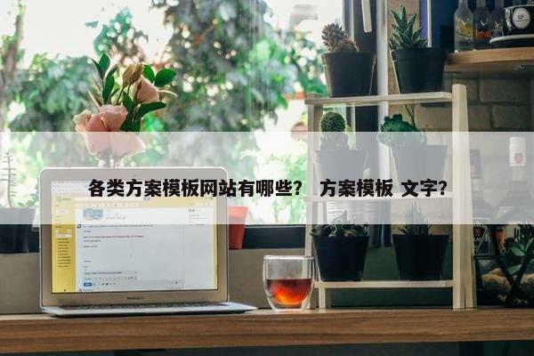 各类方案模板网站有哪些？ 方案模板 文字？