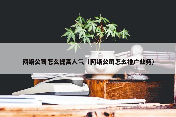 网络公司怎么提高人气（网络公司怎么推广业务）