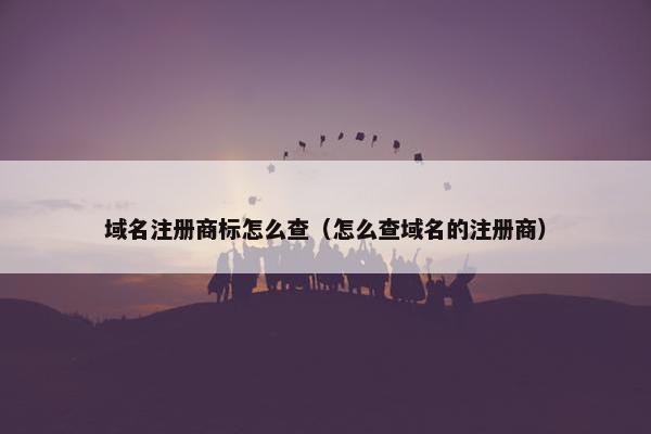 域名注册商标怎么查（怎么查域名的注册商）