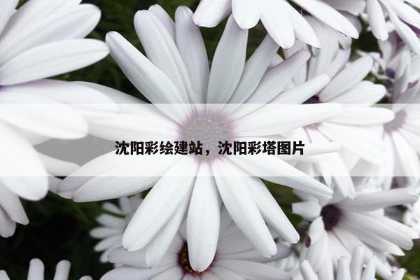 沈阳彩绘建站，沈阳彩塔图片