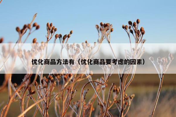 优化商品方法有（优化商品要考虑的因素）