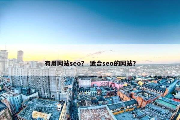有用网站seo？ 适合seo的网站？
