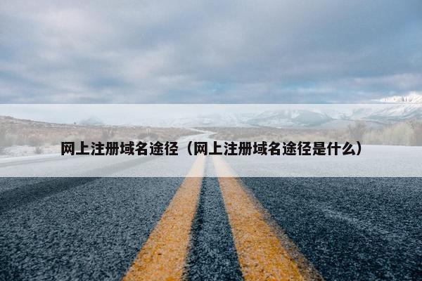网上注册域名途径（网上注册域名途径是什么）