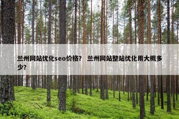 兰州网站优化seo价格？ 兰州网站整站优化用大概多少？