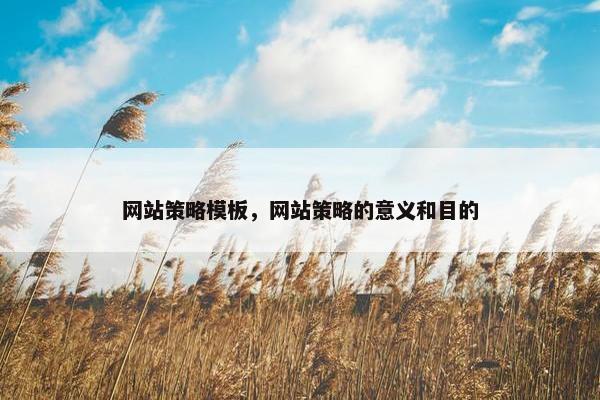 网站策略模板，网站策略的意义和目的