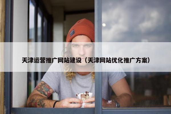 天津运营推广网站建设（天津网站优化推广方案）