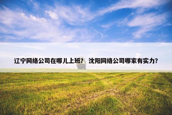 辽宁网络公司在哪儿上班？ 沈阳网络公司哪家有实力？