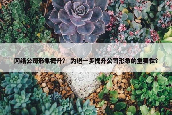 网络公司形象提升？ 为进一步提升公司形象的重要性？