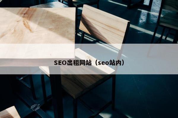 SEO出租网站（seo站内）