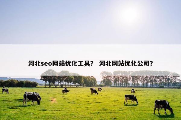 河北seo网站优化工具？ 河北网站优化公司？