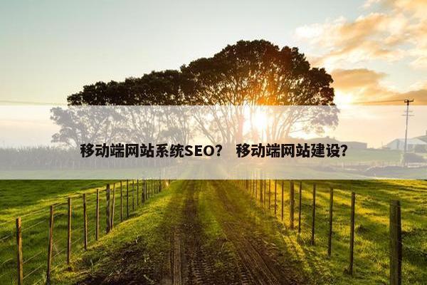 移动端网站系统SEO？ 移动端网站建设？