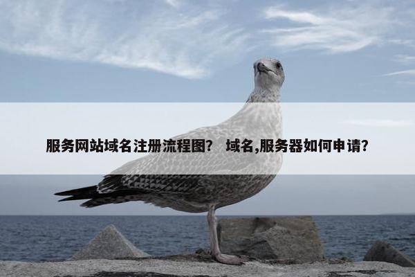 服务网站域名注册流程图？ 域名,服务器如何申请？