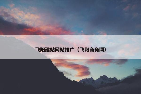 飞阳建站网站推广（飞阳商务网）