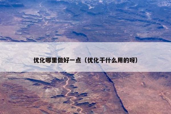 优化哪里做好一点（优化干什么用的呀）