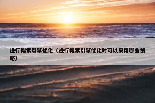 进行搜索引擎优化（进行搜索引擎优化时可以采用哪些策略）