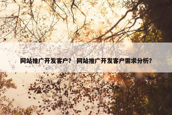 网站推广开发客户？ 网站推广开发客户需求分析？