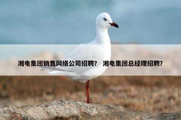 湘电集团销售网络公司招聘？ 湘电集团总经理招聘？