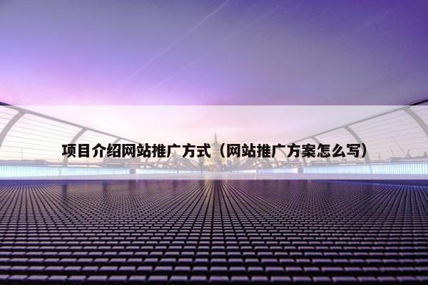 项目介绍网站推广方式（网站推广方案怎么写）