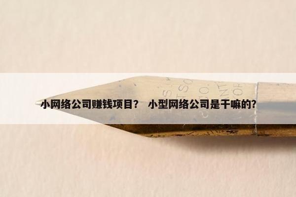 小网络公司赚钱项目？ 小型网络公司是干嘛的？