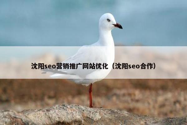 沈阳seo营销推广网站优化（沈阳seo合作）