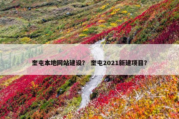 奎屯本地网站建设？ 奎屯2021新建项目？